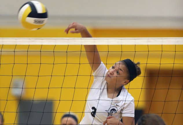 Tribunes stay perfect with sweep of Niagara