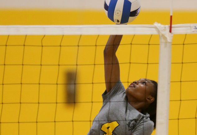 MCC volleyball outlasts Erie
