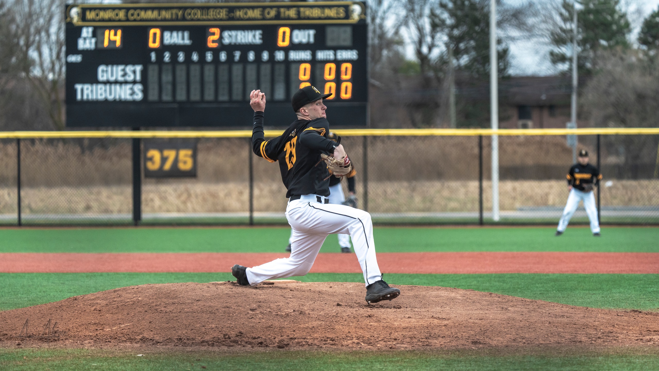 Tribunes Drop Two at Home to Niagara County Thunderwolves