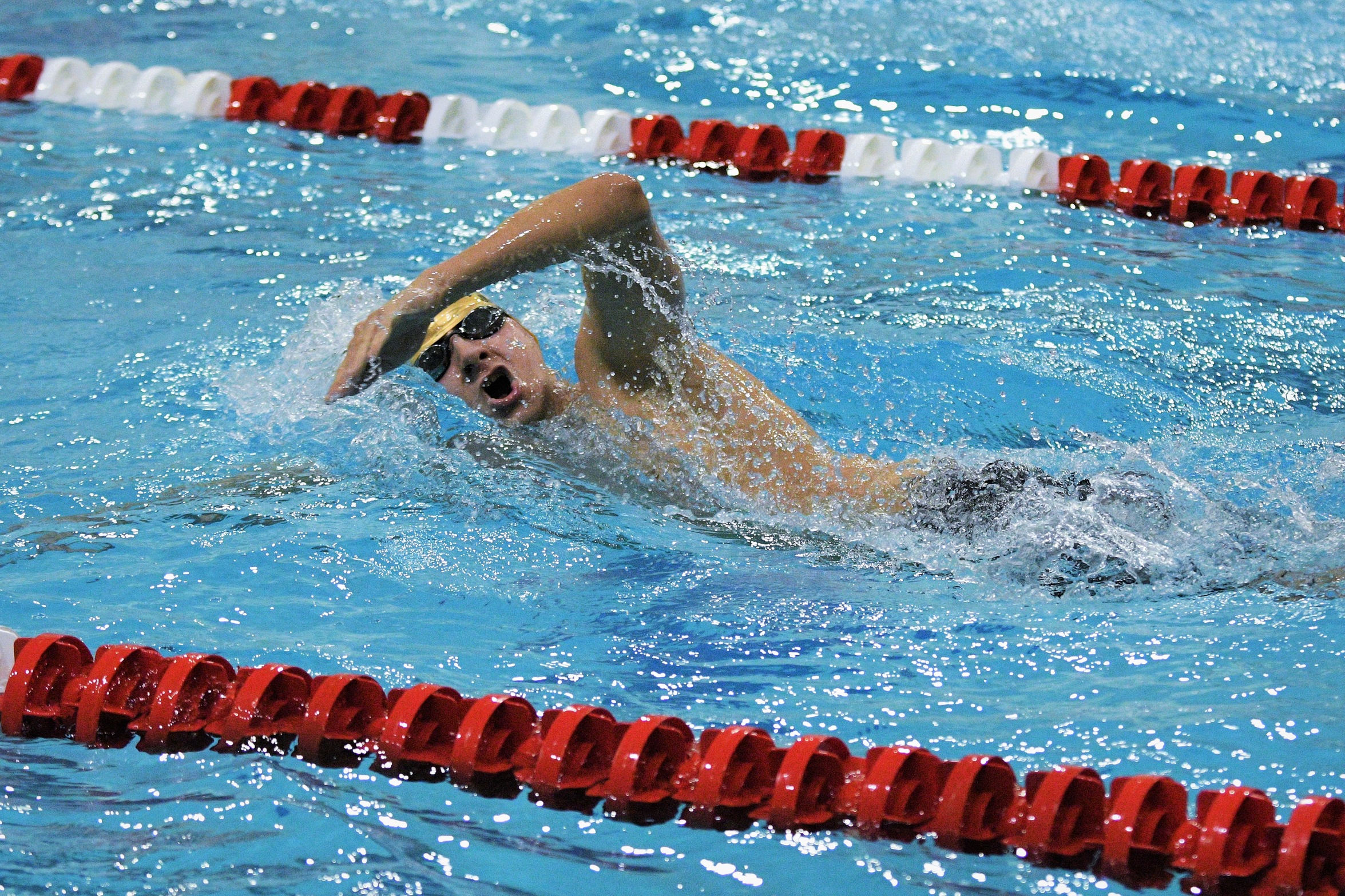 Swimming and Diving Maintain Lead After Day Three