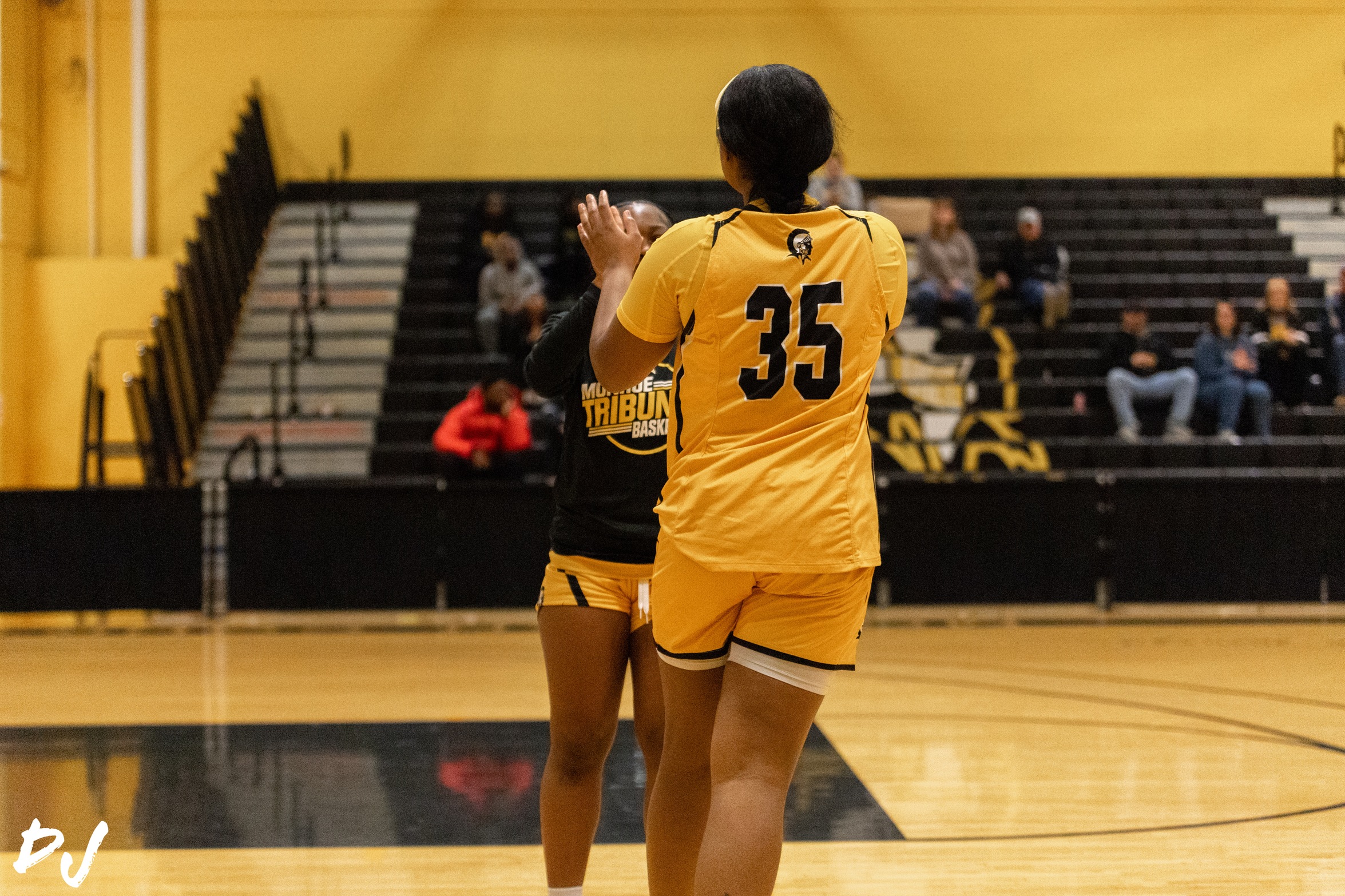 Lady Tribunes Can't Hold Off Late Jayhawk Rally