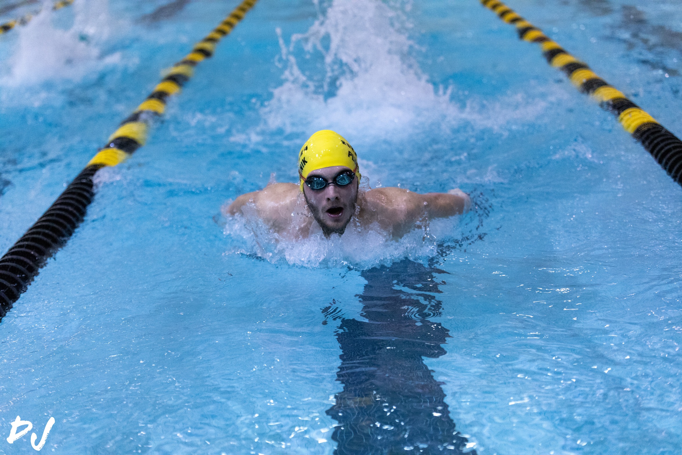 Men's Swim and Dive Narrowly Falls to Brockport in Dual Meet