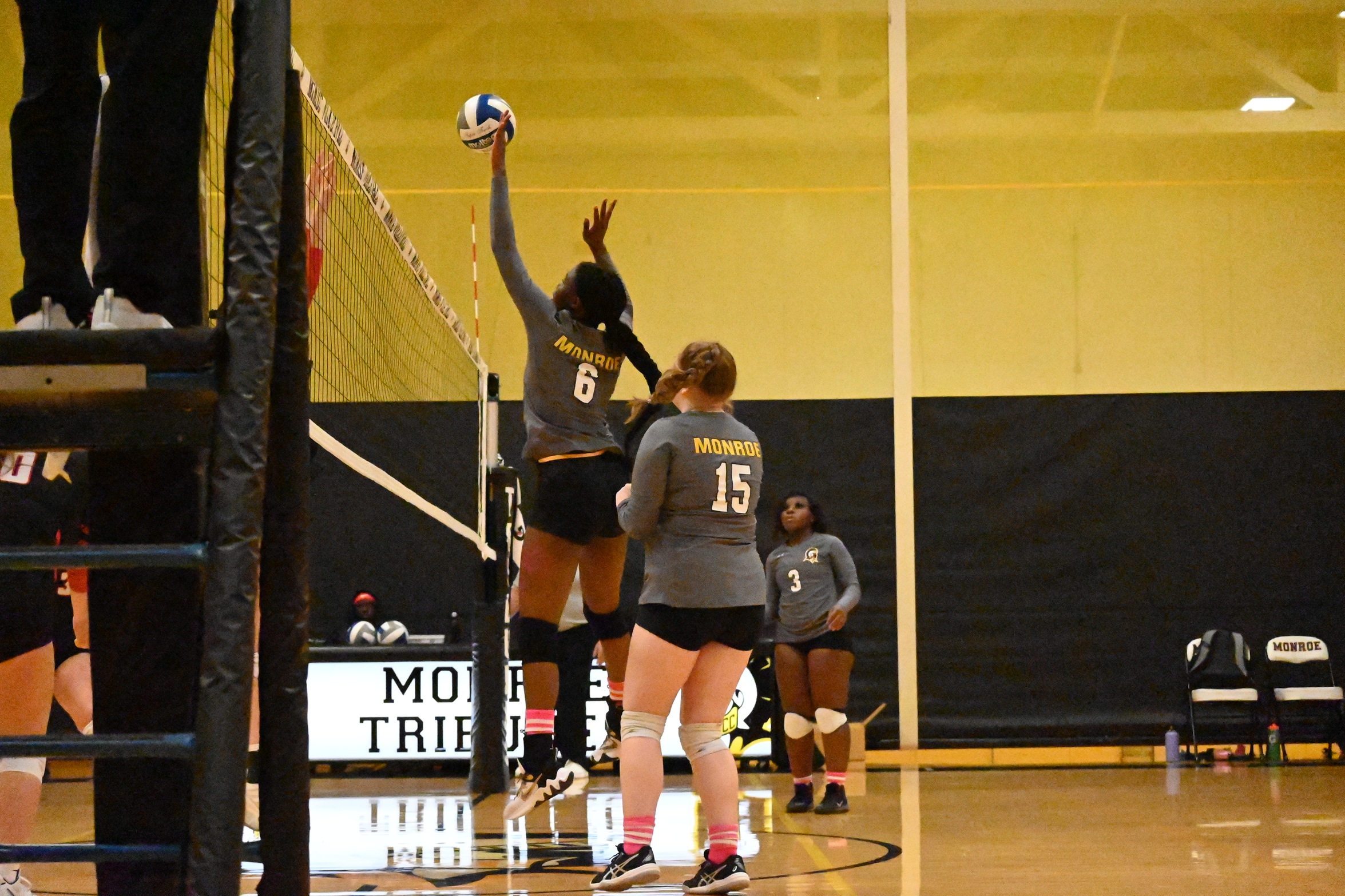 Women's Volleyball Falls to Erie CC 3-0